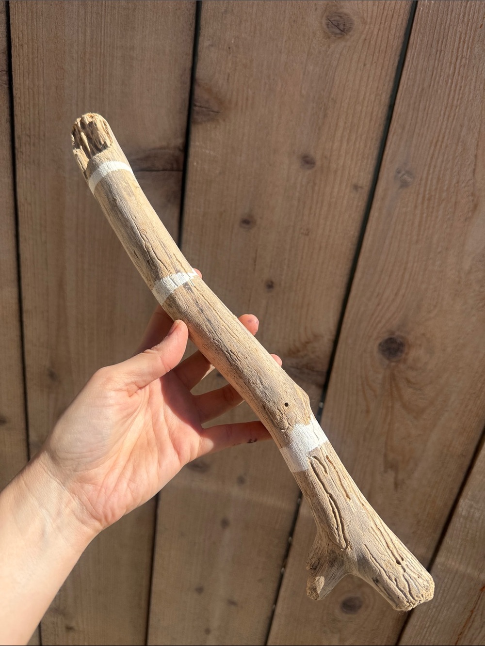 Hand-Painted Natural Driftwood Accent Stick - White and Tan 15”